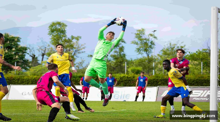 bsports官网热血奔放，梦想启航